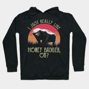 I Just Really Like Honey Badger, OK? Daring Deeds Rendered on Graphic Tee Hoodie